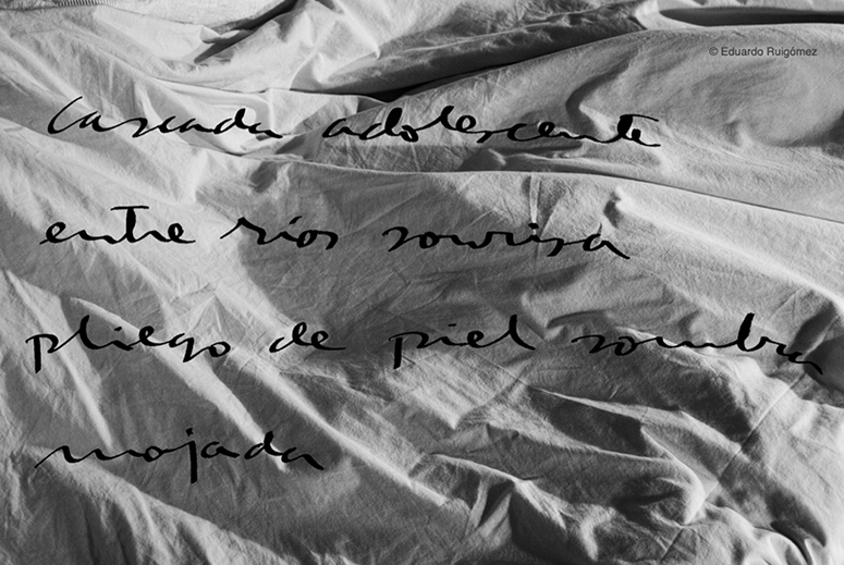 Serie Serie Tu pelo trapo