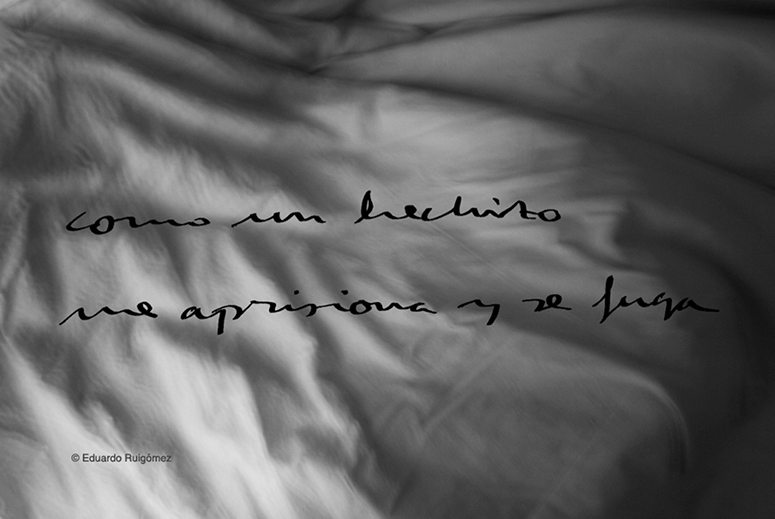 Serie Serie Tu pelo trapo