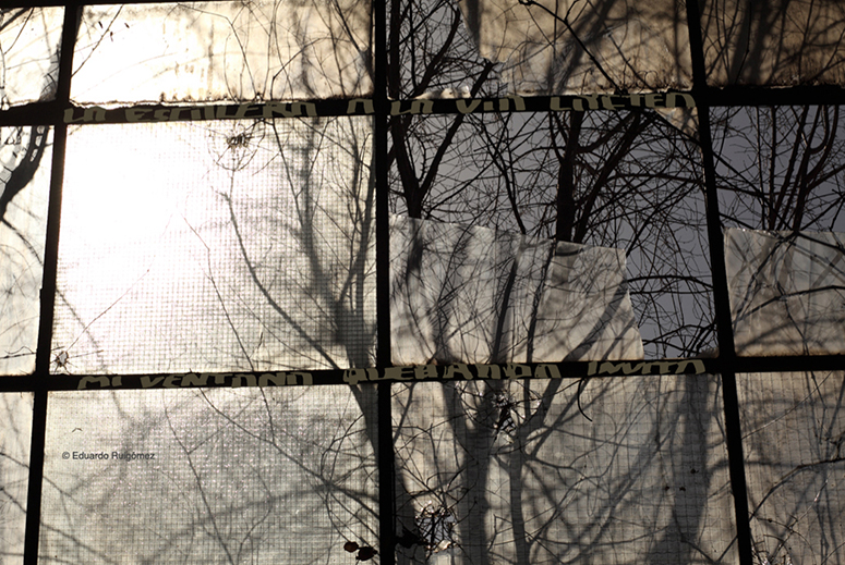 Árboles a contraluz desde el interior de una nave abansonada.