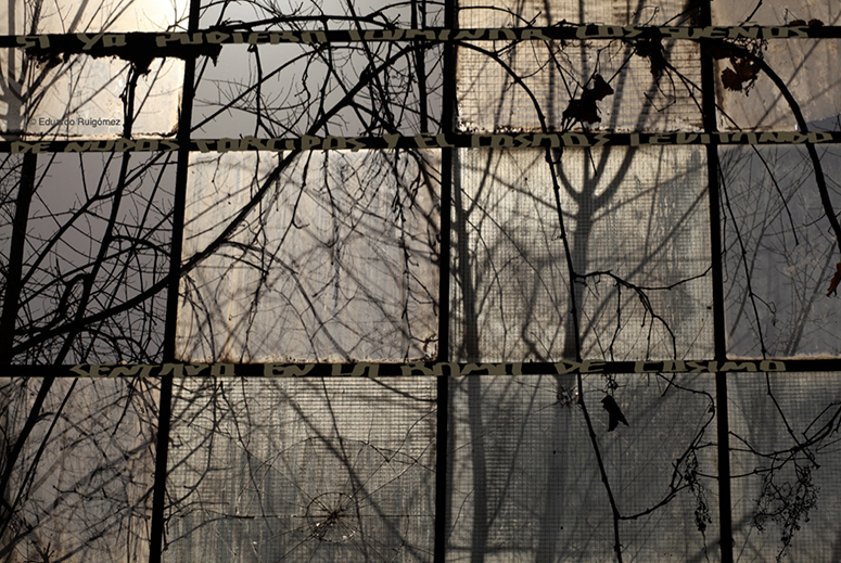 Árboles a contraluz desde el interior de una nave abansonada.