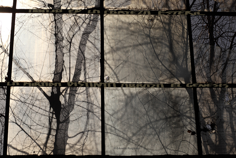 Árboles a contraluz desde el interior de una nave abansonada.