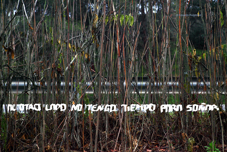 Borde una carretera entre árboles.