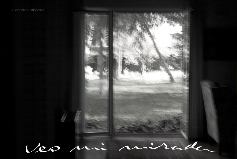 Paisaje movido a través de una ventana.