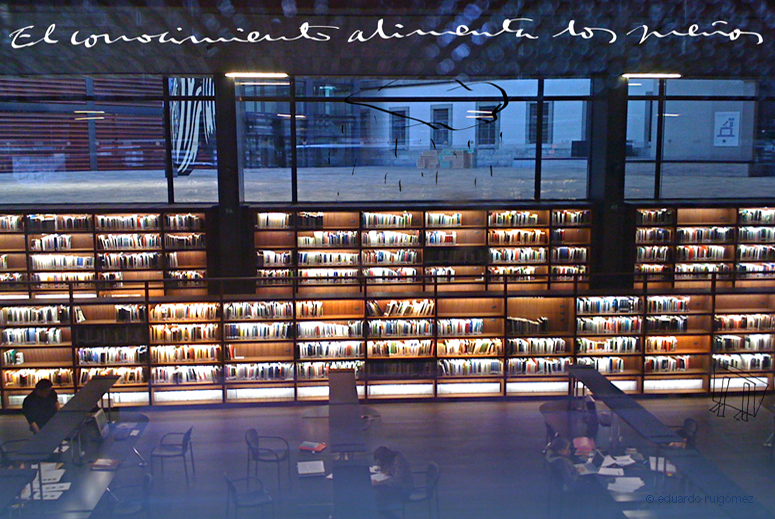 Biblioteca del Museo Reina Sofía, Madrid.