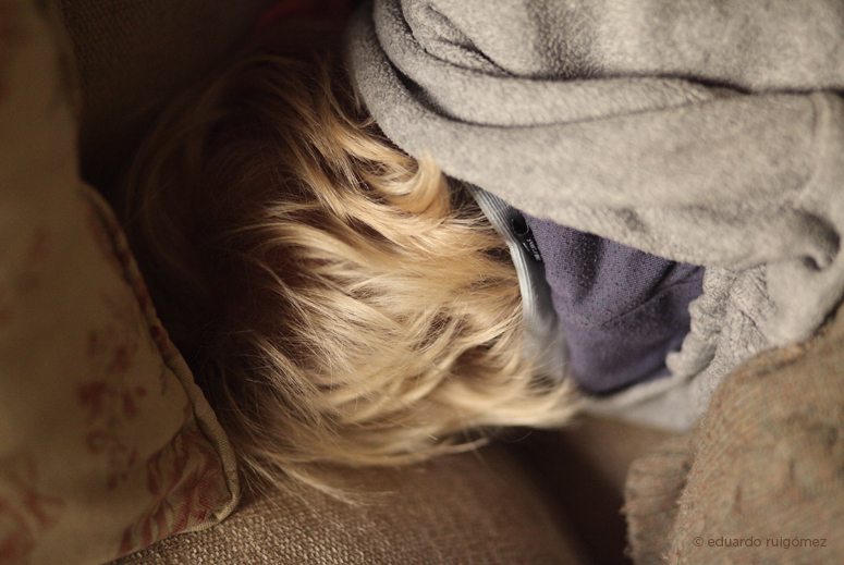 Niño dormido en un sofá entre cojines