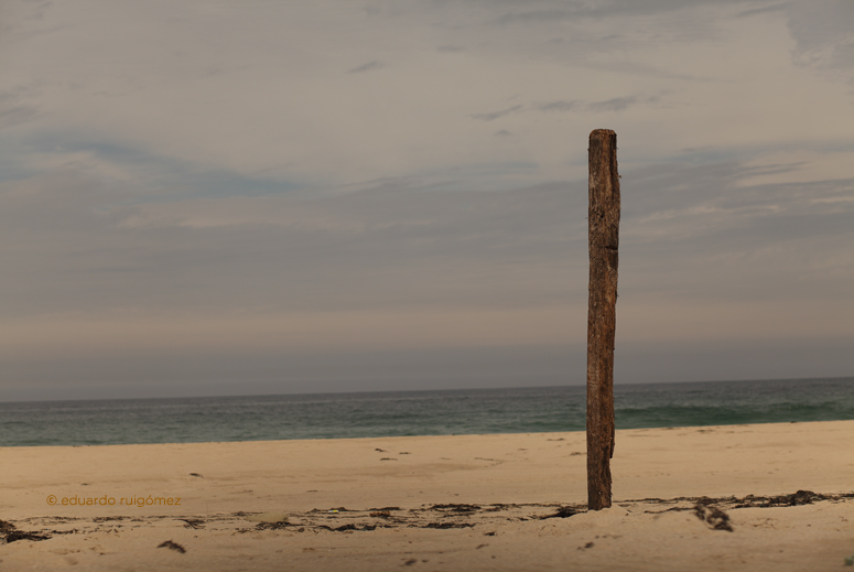 Tótem de madera clavado en la arena junto a la orilla del mar.