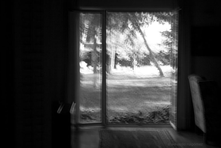 Habitación con ventana que da a un jardín.