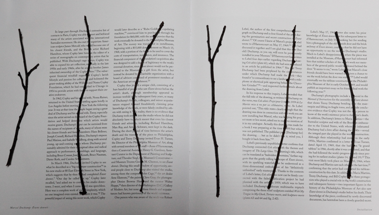 Libro abierto sobre Étant Donnés de Duchamp, con ramas sobre el texto.