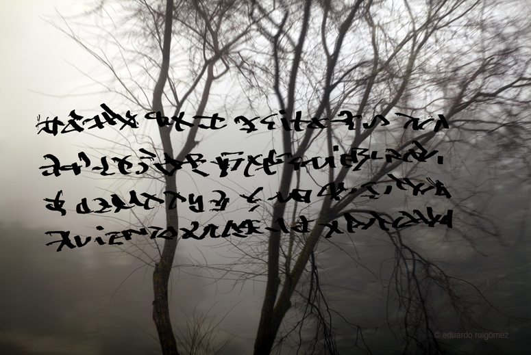 Árbol en un monte barrido por un viento fuerte en medio de la niebla.