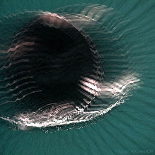 Turbina atípica en movimiento.