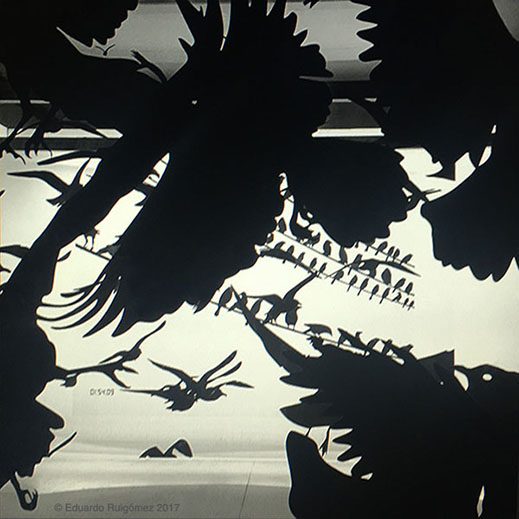 Mujeres paseando por la playa