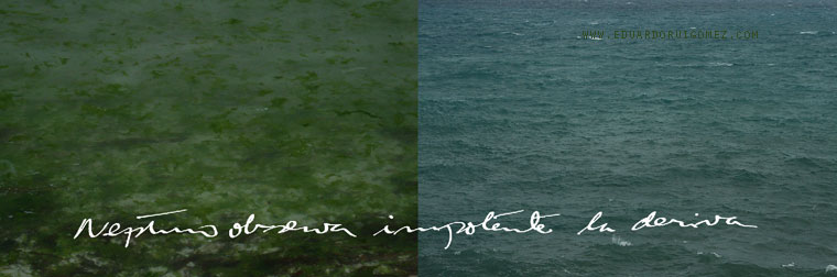 Dos imágenes de mar pegadas en paralelo, una de ría con algas desembocando en una playa de Galicia y otra de mar abierto en Niza.