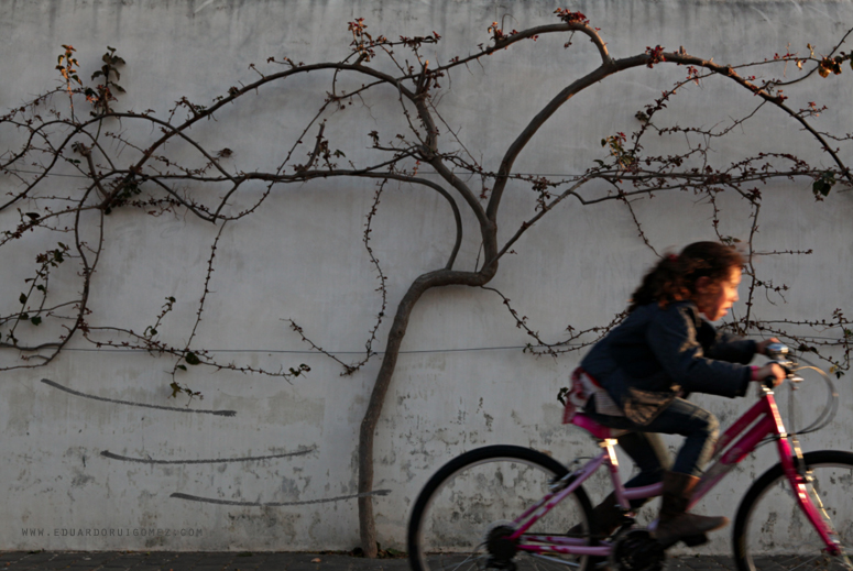 Una niña pasa deprisa en bicicleta delante de una tapia con árboles planos y ceñidos.