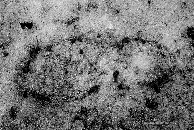 Mujer reflexiva mirando hacia el infinito.